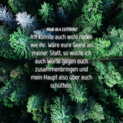 Picture 04 - Hiob 16:4 LUTH1912 - Ich könnte auch wohl reden wie ihr. Wäre eure - Bible Verse Picture