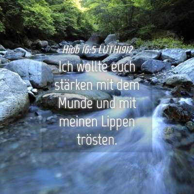 Picture 04 - Hiob 16:5 LUTH1912 - Ich wollte euch stärken mit dem Munde und mit - Bible Verse Picture