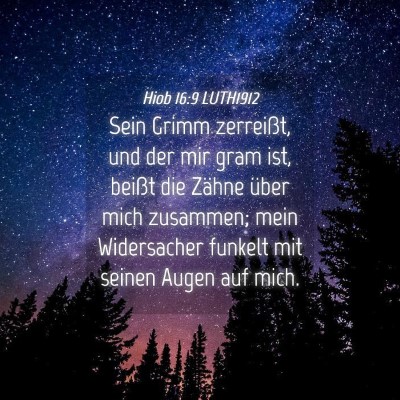 Picture 04 - Hiob 16:9 LUTH1912 - Sein Grimm zerreißt, und der mir gram ist, - Bible Verse Picture