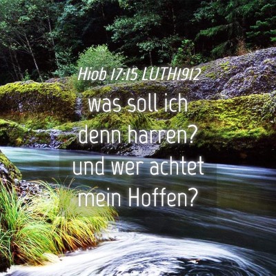 Picture 04 - Hiob 17:15 LUTH1912 - was soll ich denn harren? und wer achtet mein - Bible Verse Picture