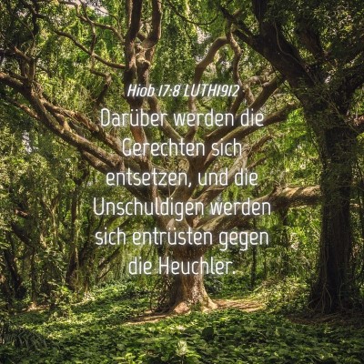 Picture 04 - Hiob 17:8 LUTH1912 - Darüber werden die Gerechten sich entsetzen, und - Bible Verse Picture