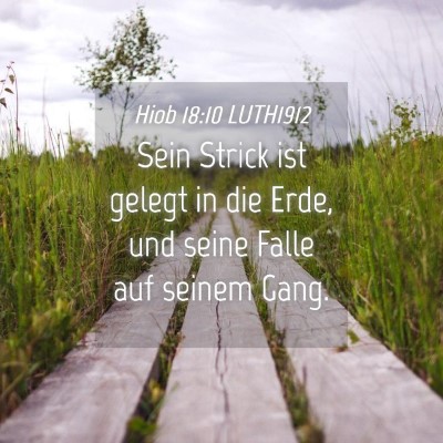Picture 04 - Hiob 18:10 LUTH1912 - Sein Strick ist gelegt in die Erde, und seine - Bible Verse Picture