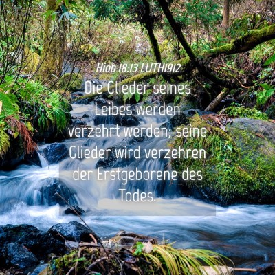Picture 04 - Hiob 18:13 LUTH1912 - Die Glieder seines Leibes werden verzehrt werden; - Bible Verse Picture