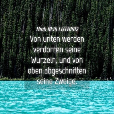 Picture 04 - Hiob 18:16 LUTH1912 - Von unten werden verdorren seine Wurzeln, und von - Bible Verse Picture
