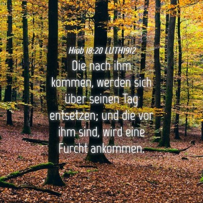 Picture 04 - Hiob 18:20 LUTH1912 - Die nach ihm kommen, werden sich über seinen Tag - Bible Verse Picture