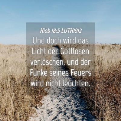 Picture 04 - Hiob 18:5 LUTH1912 - Und doch wird das Licht der Gottlosen - Bible Verse Picture