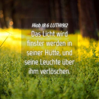 Picture 04 - Hiob 18:6 LUTH1912 - Das Licht wird finster werden in seiner Hütte, - Bible Verse Picture