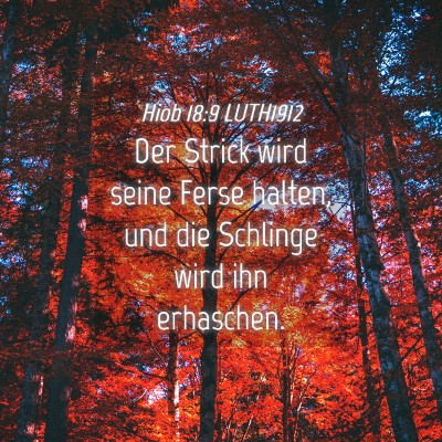 Picture 04 - Hiob 18:9 LUTH1912 - Der Strick wird seine Ferse halten, und die - Bible Verse Picture