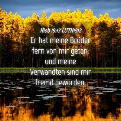 Picture 04 - Hiob 19:13 LUTH1912 - Er hat meine Brüder fern von mir getan, und - Bible Verse Picture
