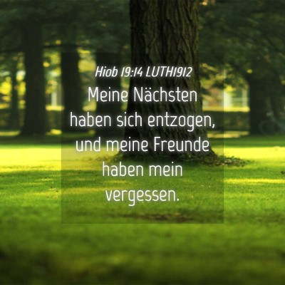 Picture 04 - Hiob 19:14 LUTH1912 - Meine Nächsten haben sich entzogen, und meine - Bible Verse Picture