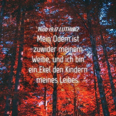 Picture 04 - Hiob 19:17 LUTH1912 - Mein Odem ist zuwider meinem Weibe, und ich bin - Bible Verse Picture