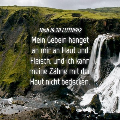 Picture 04 - Hiob 19:20 LUTH1912 - Mein Gebein hanget an mir an Haut und Fleisch, - Bible Verse Picture