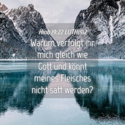 Picture 04 - Hiob 19:22 LUTH1912 - Warum verfolgt ihr mich gleich wie Gott und - Bible Verse Picture