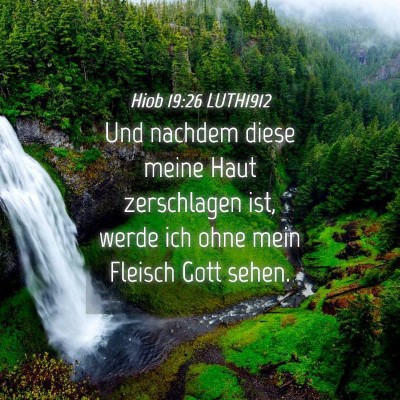 Picture 04 - Hiob 19:26 LUTH1912 - Und nachdem diese meine Haut zerschlagen ist, - Bible Verse Picture