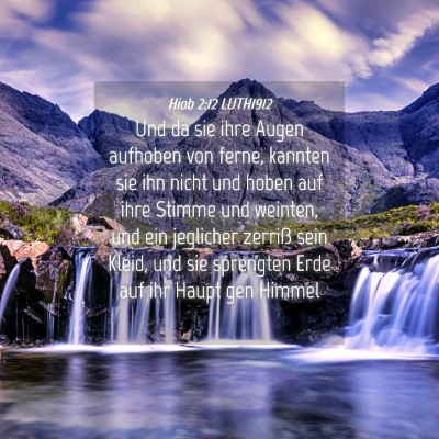 Picture 04 - Hiob 2:12 LUTH1912 - Und da sie ihre Augen aufhoben von ferne, kannten - Bible Verse Picture