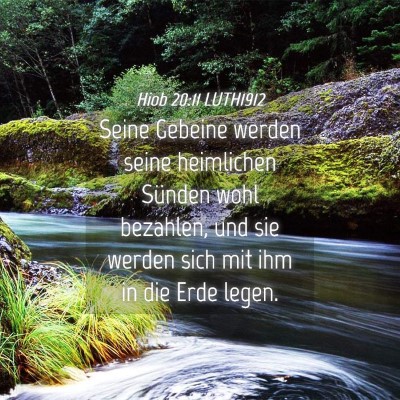 Picture 04 - Hiob 20:11 LUTH1912 - Seine Gebeine werden seine heimlichen Sünden - Bible Verse Picture