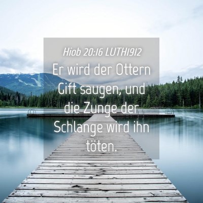 Picture 04 - Hiob 20:16 LUTH1912 - Er wird der Ottern Gift saugen, und die Zunge der - Bible Verse Picture