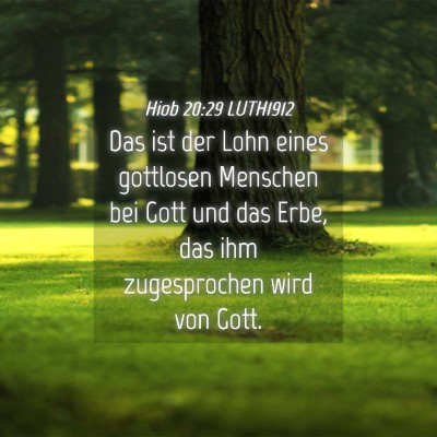 Picture 04 - Hiob 20:29 LUTH1912 - Das ist der Lohn eines gottlosen Menschen bei - Bible Verse Picture