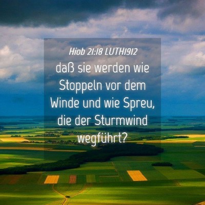 Picture 04 - Hiob 21:18 LUTH1912 - daß sie werden wie Stoppeln vor dem Winde und - Bible Verse Picture