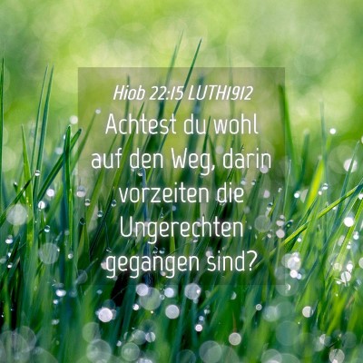 Picture 04 - Hiob 22:15 LUTH1912 - Achtest du wohl auf den Weg, darin vorzeiten die - Bible Verse Picture