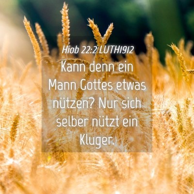 Picture 04 - Hiob 22:2 LUTH1912 - Kann denn ein Mann Gottes etwas nützen? Nur sich - Bible Verse Picture