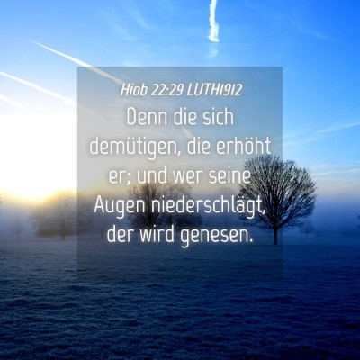 Picture 04 - Hiob 22:29 LUTH1912 - Denn die sich demütigen, die erhöht er; und wer - Bible Verse Picture