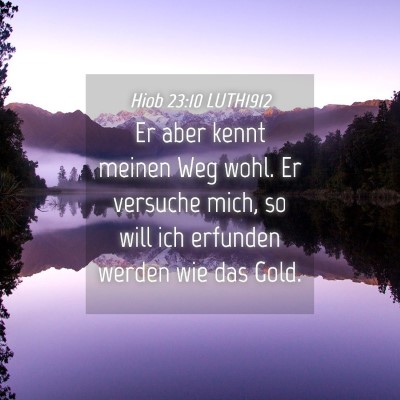 Picture 04 - Hiob 23:10 LUTH1912 - Er aber kennt meinen Weg wohl. Er versuche mich, - Bible Verse Picture