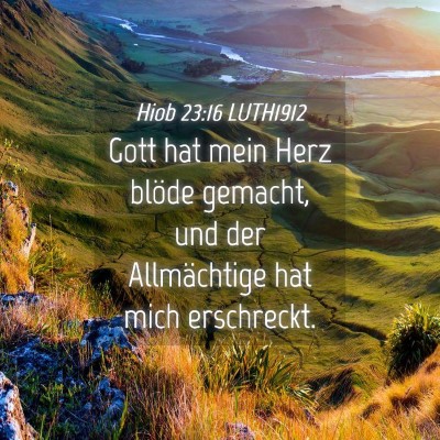 Picture 04 - Hiob 23:16 LUTH1912 - Gott hat mein Herz blöde gemacht, und der - Bible Verse Picture