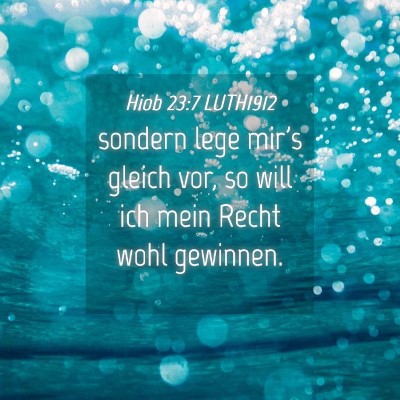 Picture 04 - Hiob 23:7 LUTH1912 - sondern lege mir's gleich vor, so will ich mein - Bible Verse Picture