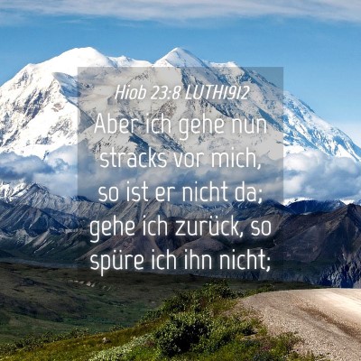 Picture 04 - Hiob 23:8 LUTH1912 - Aber ich gehe nun stracks vor mich, so ist er - Bible Verse Picture