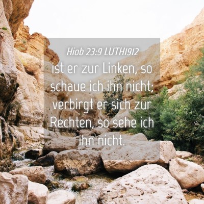 Picture 04 - Hiob 23:9 LUTH1912 - ist er zur Linken, so schaue ich ihn nicht; - Bible Verse Picture