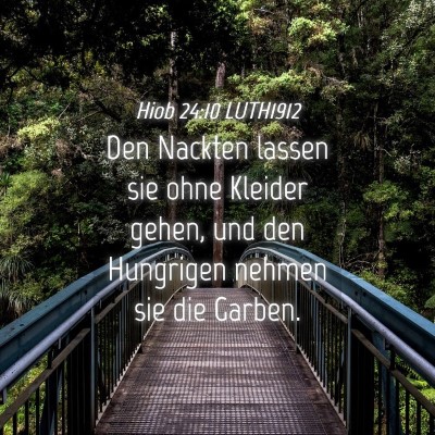 Picture 04 - Hiob 24:10 LUTH1912 - Den Nackten lassen sie ohne Kleider gehen, und - Bible Verse Picture