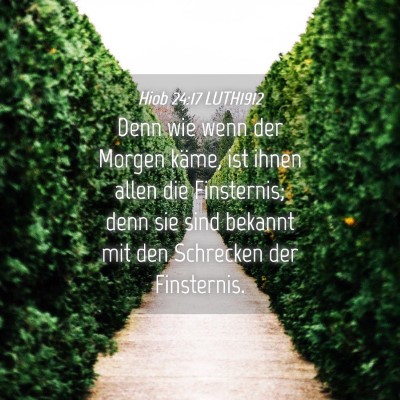 Picture 04 - Hiob 24:17 LUTH1912 - Denn wie wenn der Morgen käme, ist ihnen allen - Bible Verse Picture