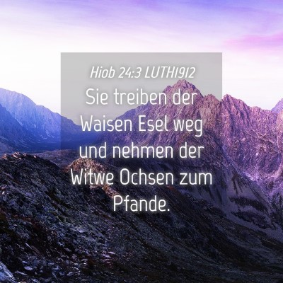 Picture 04 - Hiob 24:3 LUTH1912 - Sie treiben der Waisen Esel weg und nehmen der - Bible Verse Picture