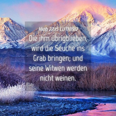 Picture 04 - Hiob 27:15 LUTH1912 - Die ihm übrigblieben, wird die Seuche ins Grab - Bible Verse Picture