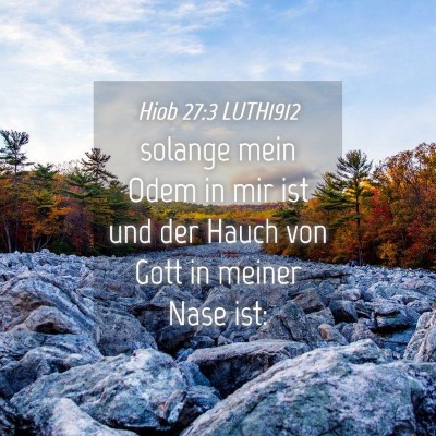 Picture 04 - Hiob 27:3 LUTH1912 - solange mein Odem in mir ist und der Hauch von - Bible Verse Picture