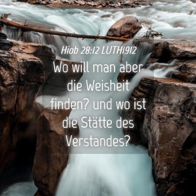 Picture 04 - Hiob 28:12 LUTH1912 - Wo will man aber die Weisheit finden? und wo ist - Bible Verse Picture