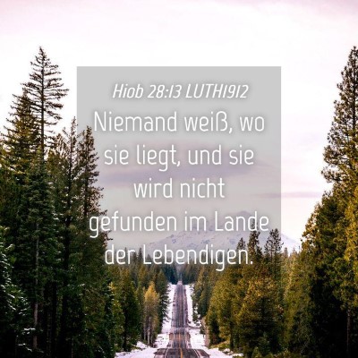 Picture 04 - Hiob 28:13 LUTH1912 - Niemand weiß, wo sie liegt, und sie wird nicht - Bible Verse Picture