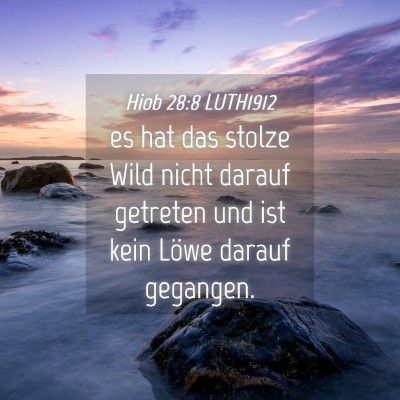 Picture 04 - Hiob 28:8 LUTH1912 - es hat das stolze Wild nicht darauf getreten und - Bible Verse Picture