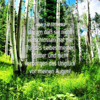 Picture 04 - Hiob 3:10 LUTH1912 - darum daß sie nicht verschlossen hat die Tür - Bible Verse Picture