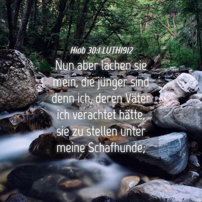 Picture 04 - Hiob 30:1 LUTH1912 - Nun aber lachen sie mein, die jünger sind denn - Bible Verse Picture
