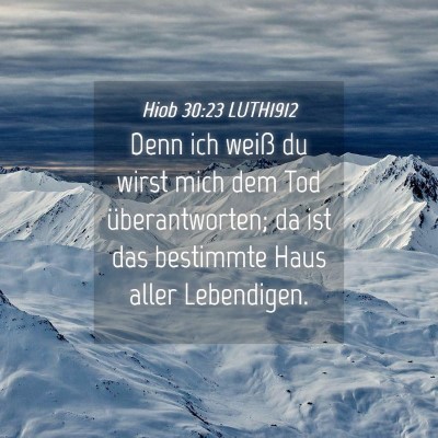 Picture 04 - Hiob 30:23 LUTH1912 - Denn ich weiß du wirst mich dem Tod - Bible Verse Picture