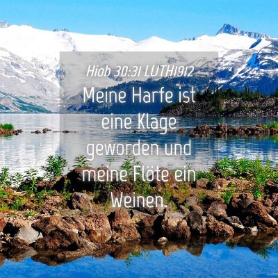 Picture 04 - Hiob 30:31 LUTH1912 - Meine Harfe ist eine Klage geworden und meine - Bible Verse Picture