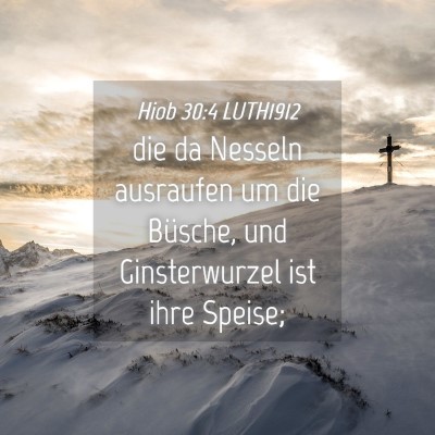 Picture 04 - Hiob 30:4 LUTH1912 - die da Nesseln ausraufen um die Büsche, und - Bible Verse Picture