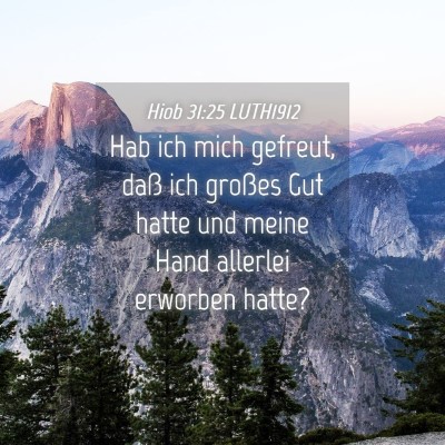 Picture 04 - Hiob 31:25 LUTH1912 - Hab ich mich gefreut, daß ich großes Gut hatte - Bible Verse Picture