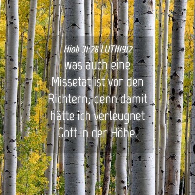 Picture 04 - Hiob 31:28 LUTH1912 - was auch eine Missetat ist vor den Richtern; denn - Bible Verse Picture