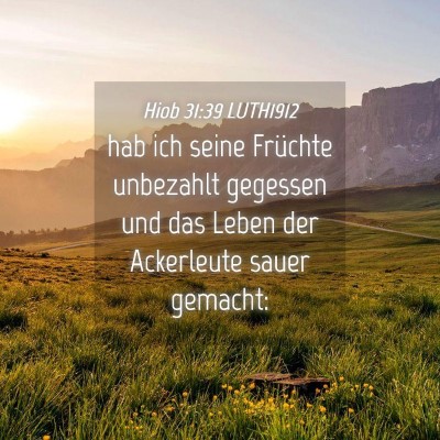 Picture 04 - Hiob 31:39 LUTH1912 - hab ich seine Früchte unbezahlt gegessen und das - Bible Verse Picture