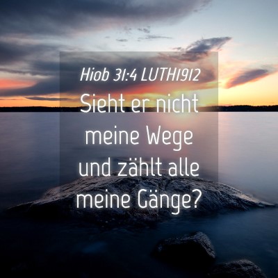 Picture 04 - Hiob 31:4 LUTH1912 - Sieht er nicht meine Wege und zählt alle meine - Bible Verse Picture