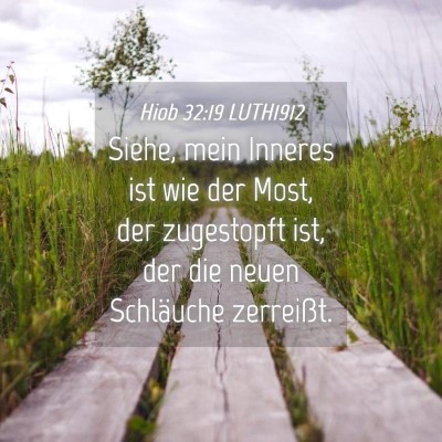Picture 04 - Hiob 32:19 LUTH1912 - Siehe, mein Inneres ist wie der Most, der - Bible Verse Picture