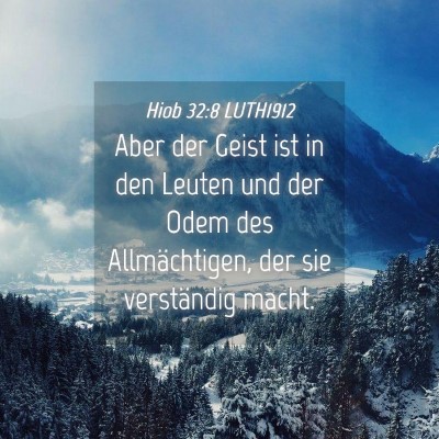 Picture 04 - Hiob 32:8 LUTH1912 - Aber der Geist ist in den Leuten und der Odem des - Bible Verse Picture